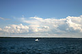 2004 Photos